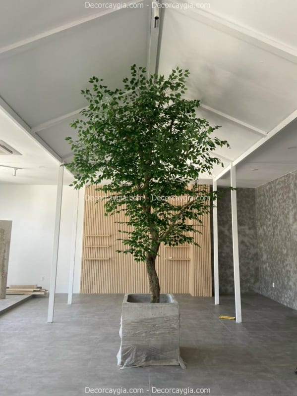 Cây Lá Xanh Giả Quận 5 TPHCM