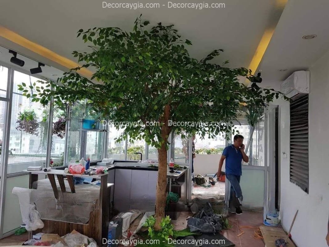 Cây Lá Xanh Giả Quận 6 TPHCM