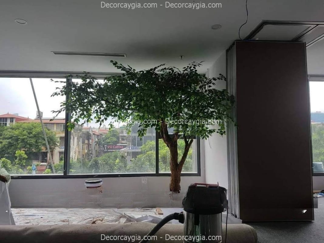 Cây Lá Xanh Giả Quận 8 TPHCM