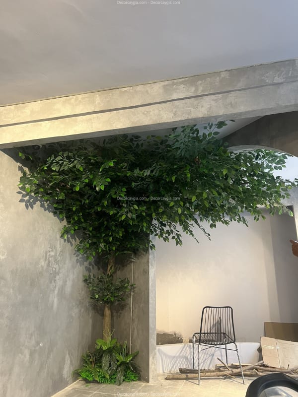 Cây lá xanh giả Tỉnh Tây Ninh