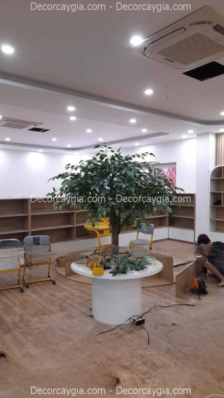 Cây lá xanh giả văn phòng