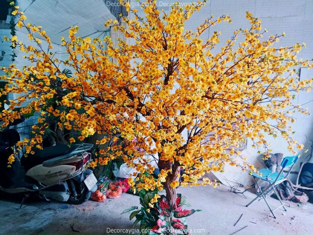 Cây mai giả cao 2m