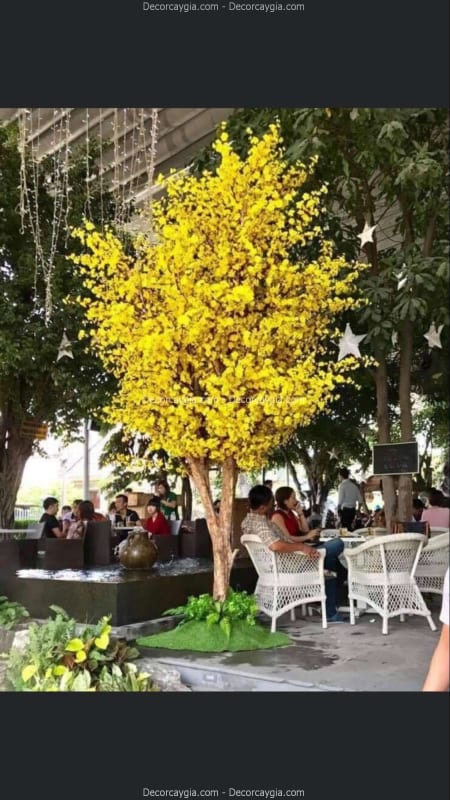 Cây Mai Giả Cao 4m Cây Mai Giả Cao 4m