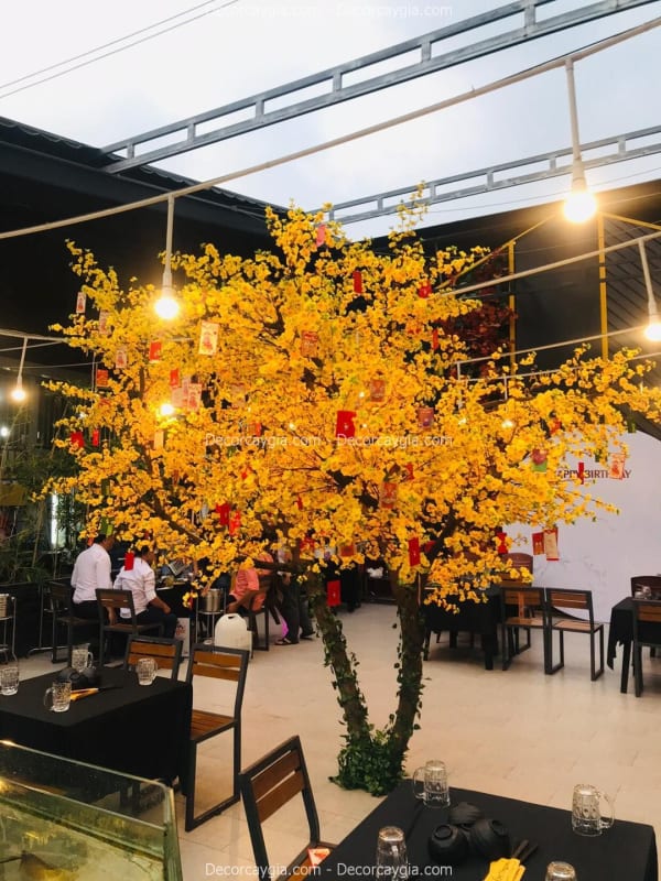 Cây hoa mai giả