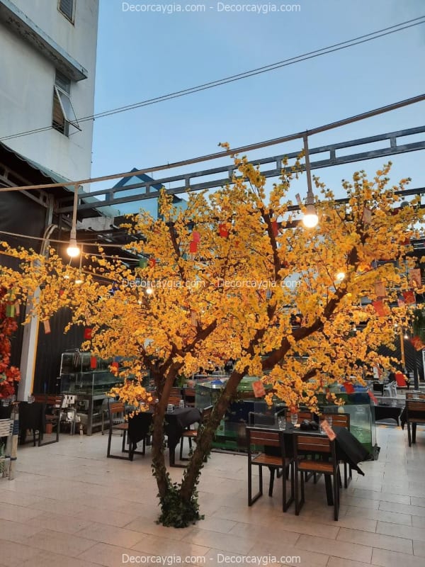 Cây hoa mai giả