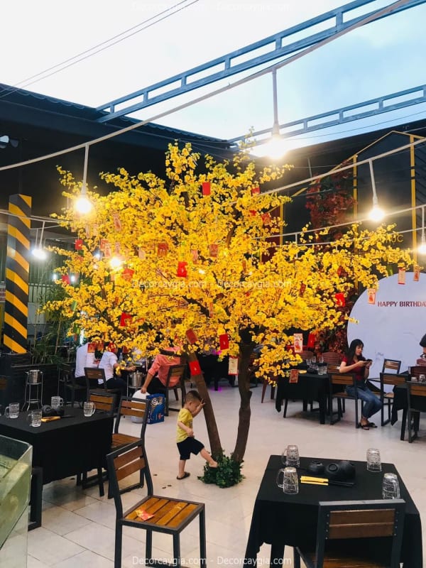 Cây hoa mai giả