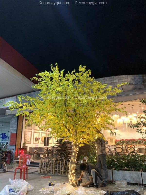 Cây hoa mai giả
