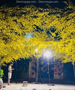 Cây Mai Giả Tán Vòm