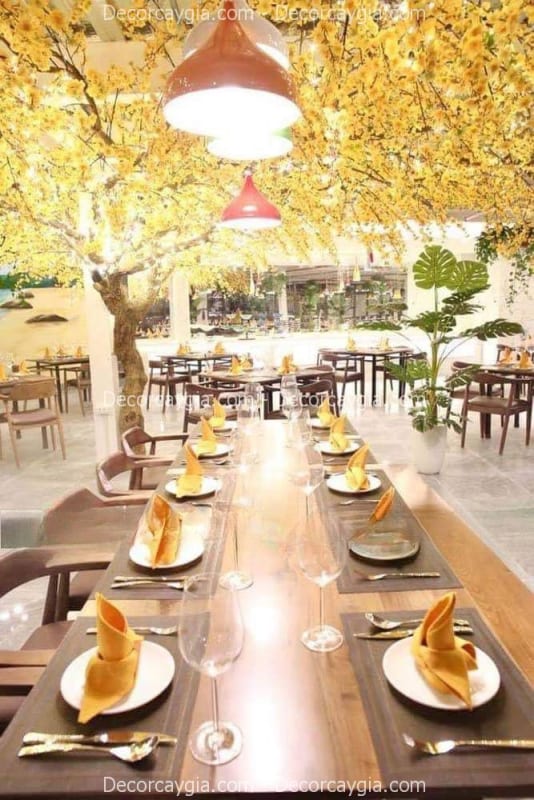 Cây Mai Giả trang trí quán tại Nha Trang Cây Mai Giả trang trí quán tại Nha Trang