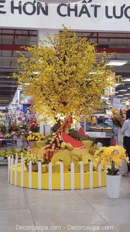 Cây mai giả trang trí siêu thị