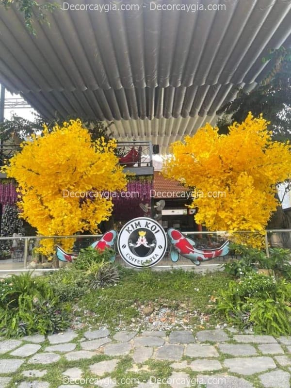 Cây ngân hạnh giả