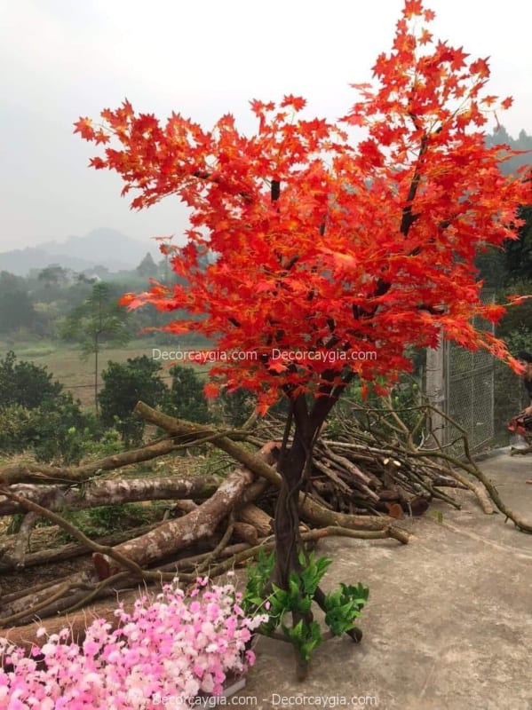 Cây phong giả quận 1 TPHCM