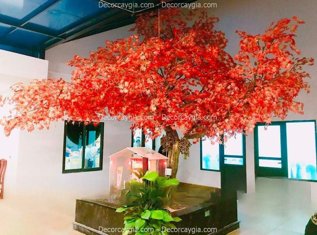 Cây Phong Giả Quận 2 TPHCM