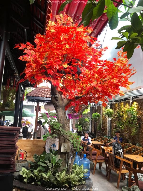 Cây Phong Giả Quận 4 TPHCM