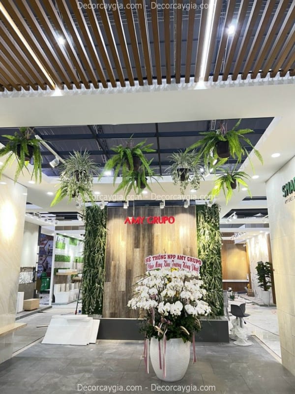 Cây rủ giả Quận Phú Nhuận