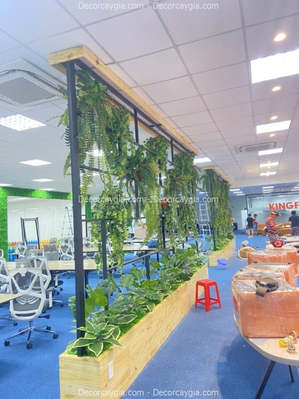 Cây rủ giả văn phòng