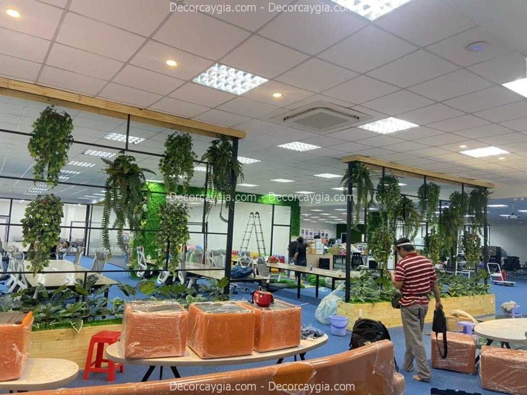 Cây rủ giả văn phòng