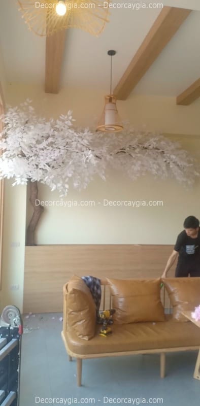 Cây si giả lá trắng trang trí