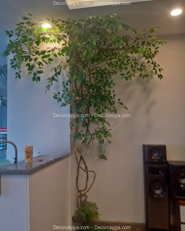 Cây si giả trang trí nhà hàng