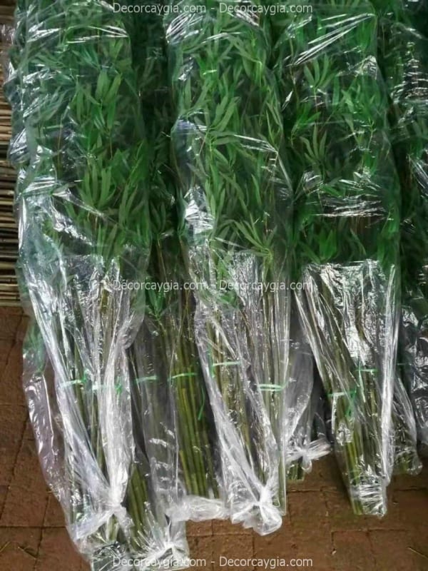 Cây trúc giả trang trí cửa hàng