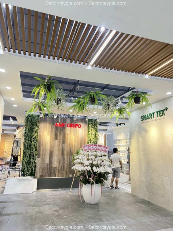 Chậu cây lan giả