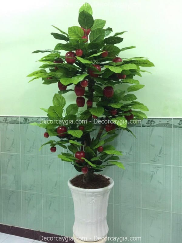 Chậu cây táo giả