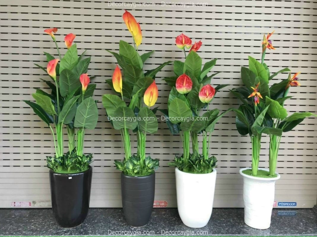 Chậu hoa giả trang trí văn phòng Chậu hoa giả trang trí văn phòng