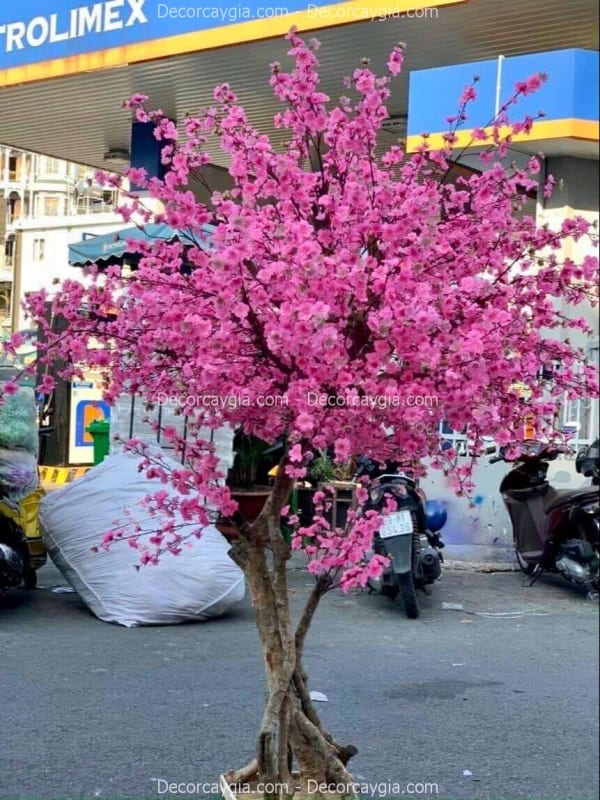 cho thuê cây hoa anh đào giả cao 2m7