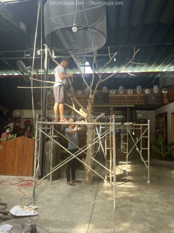 Decor cây khô quận Gò Vấp