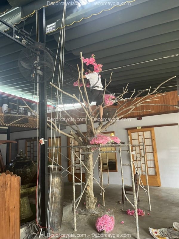Decor cây khô quận Gò Vấp