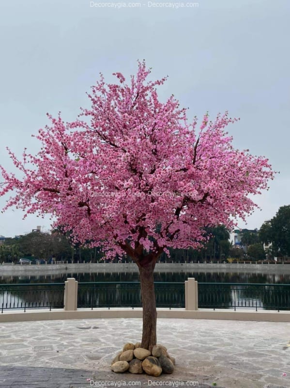 cây hoa anh đào giả