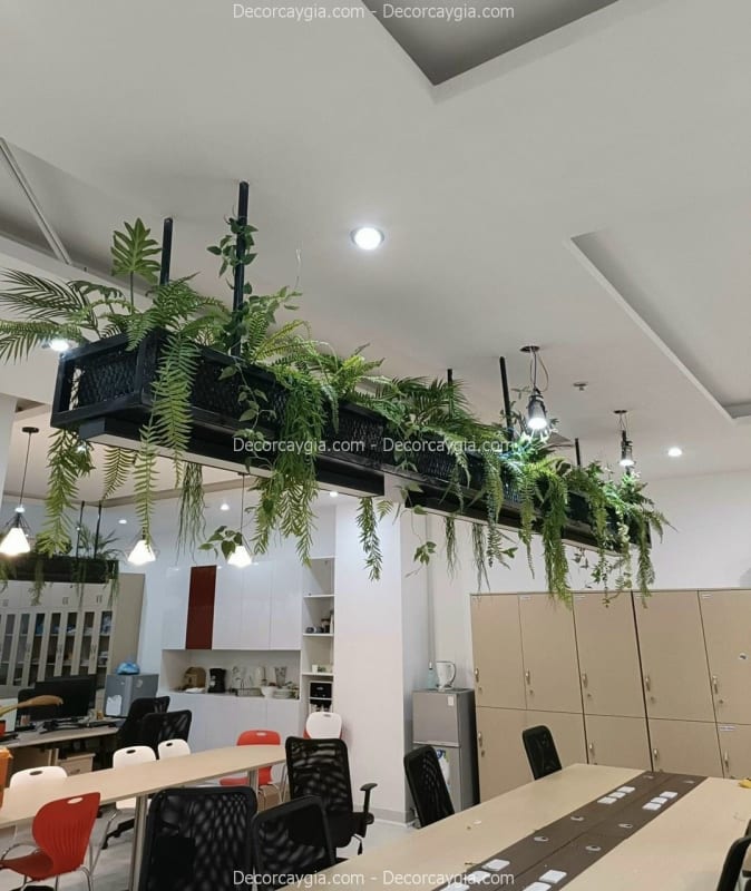 Hộp cây giả giá rẻ