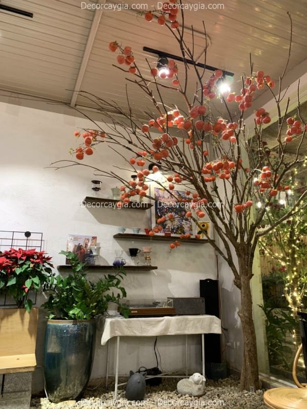 Mẫu Ảnh Cây Giả Cho Thuê
