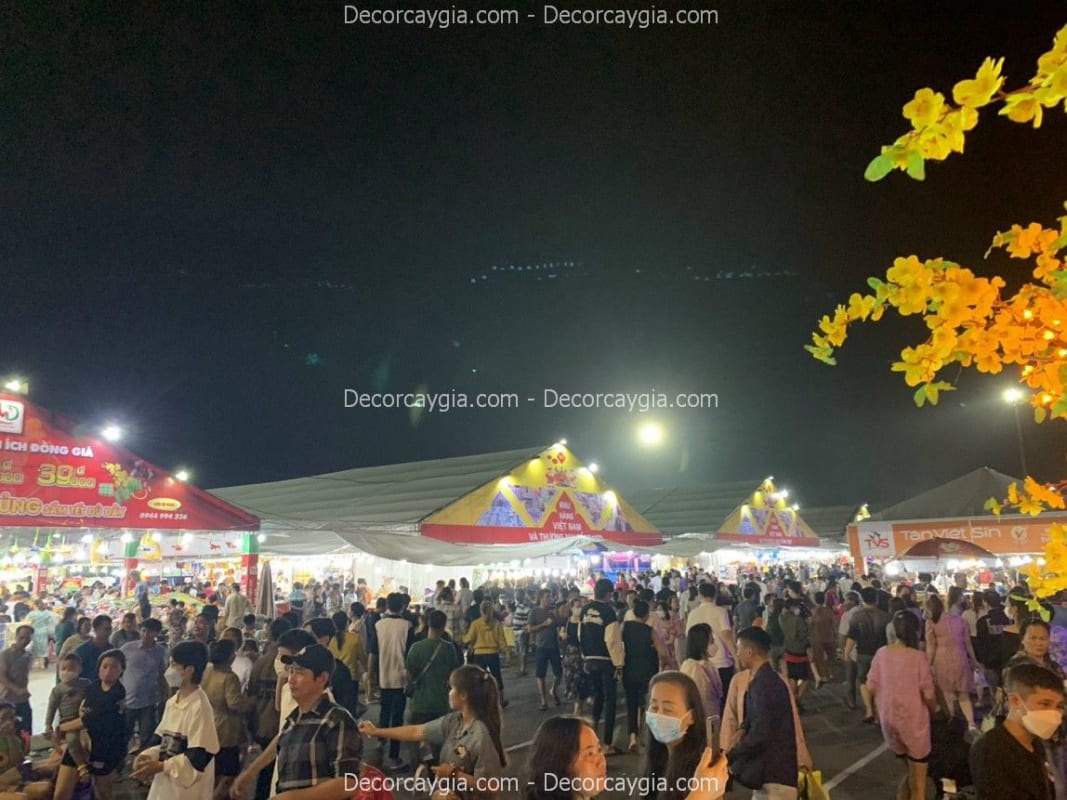 Mẫu Ảnh Cây Giả Cho Thuê
