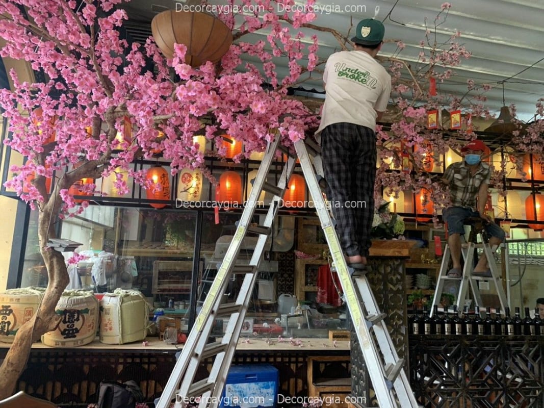 Mẫu Ảnh Cây Giả Cho Thuê
