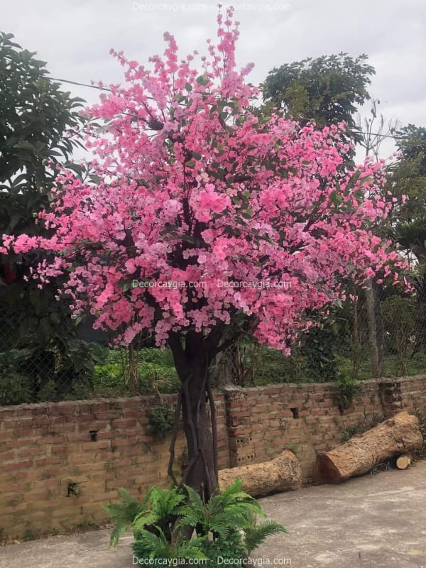 Mẫu Ảnh Cây Giả Cho Thuê