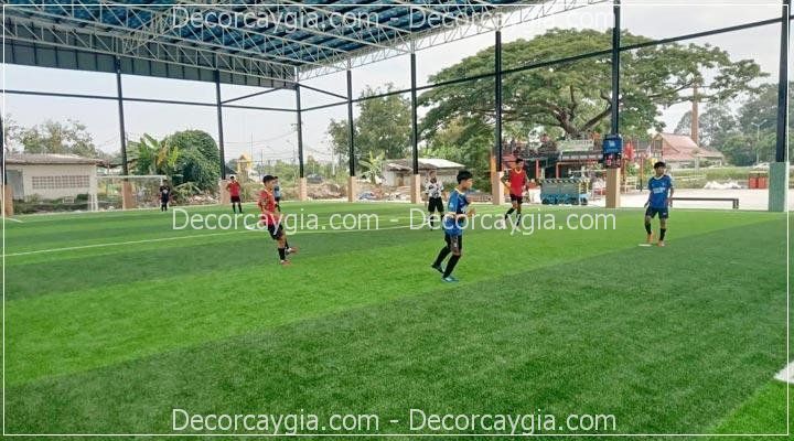 Thảm cỏ nhân tạo Quận 1