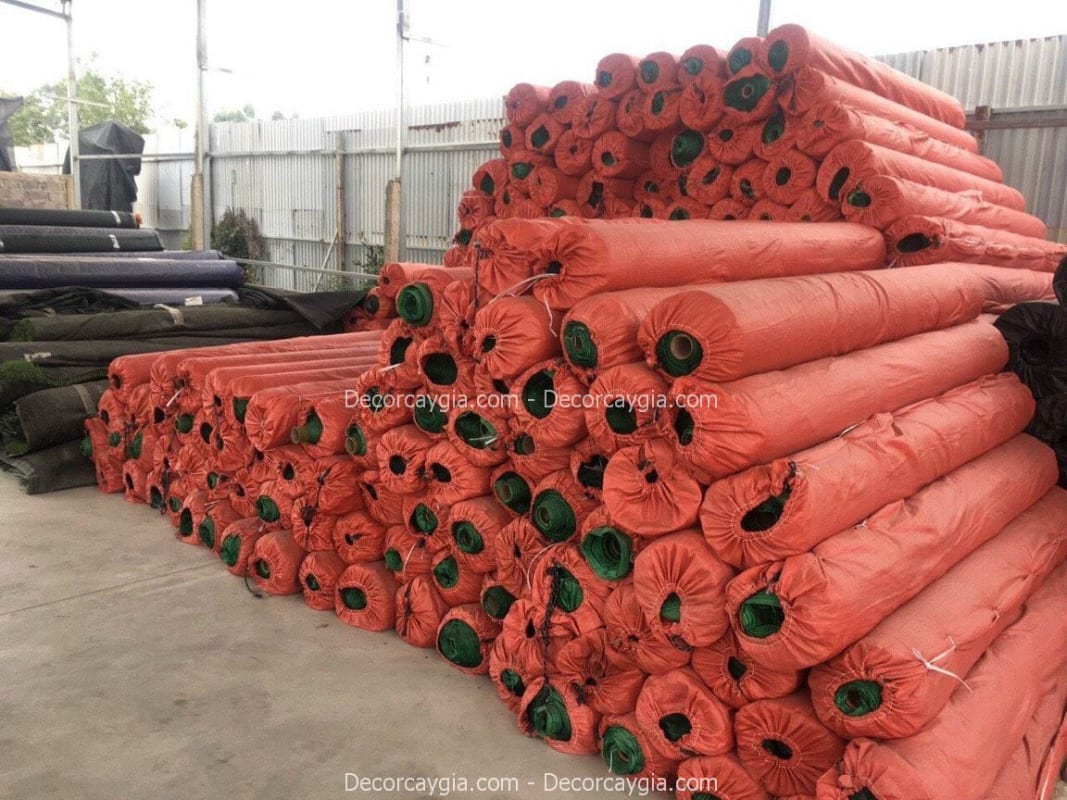 Thảm cỏ nhân tạo Quận 1