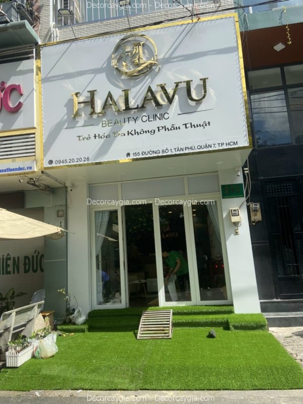 Thảm cỏ giả