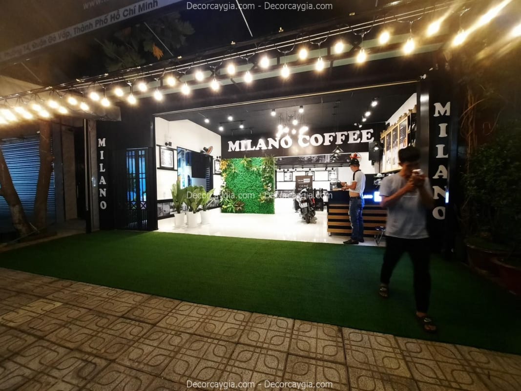 Thảm Cỏ Nhân Tạo Quận 6