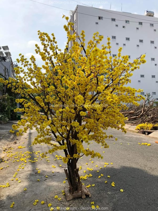 Thi công cây hoa mai giả
