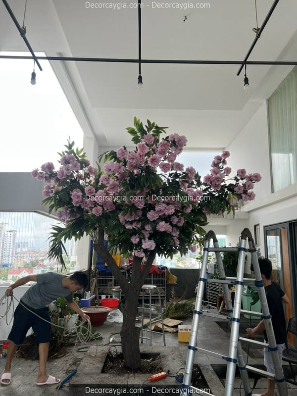 Thi công cây hoa mẫu đơn giả