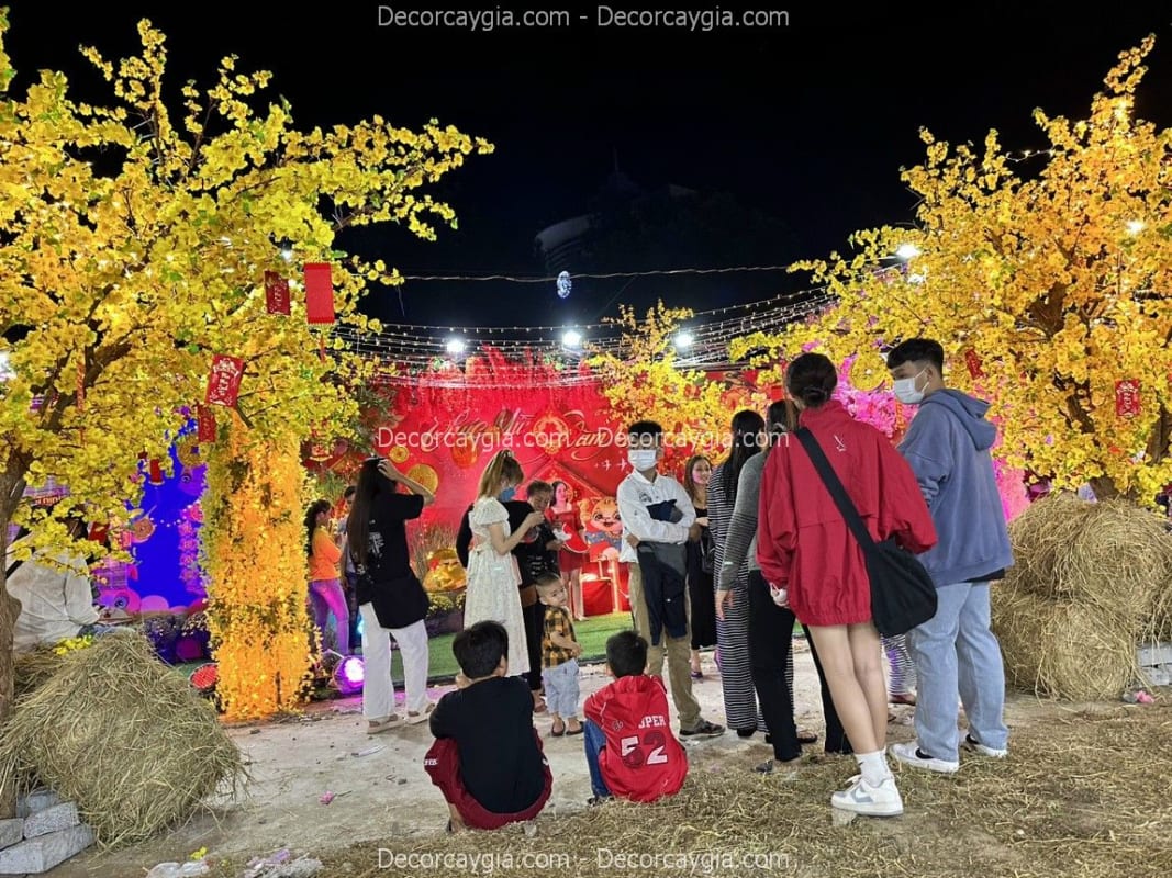 Thuê cây hoa mai vàng giả