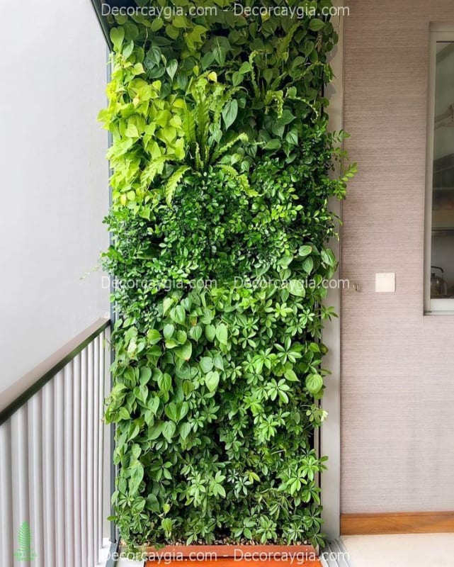Làm tường cây giả Hải Phòng