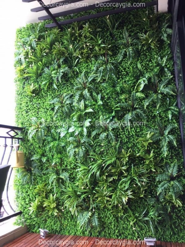 Tường cây giả Thừa Thiên Huế